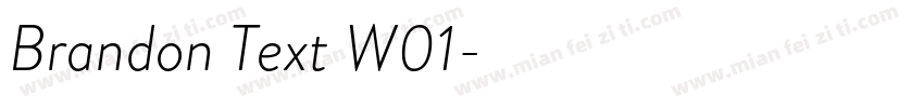 Brandon Text W01字体转换
